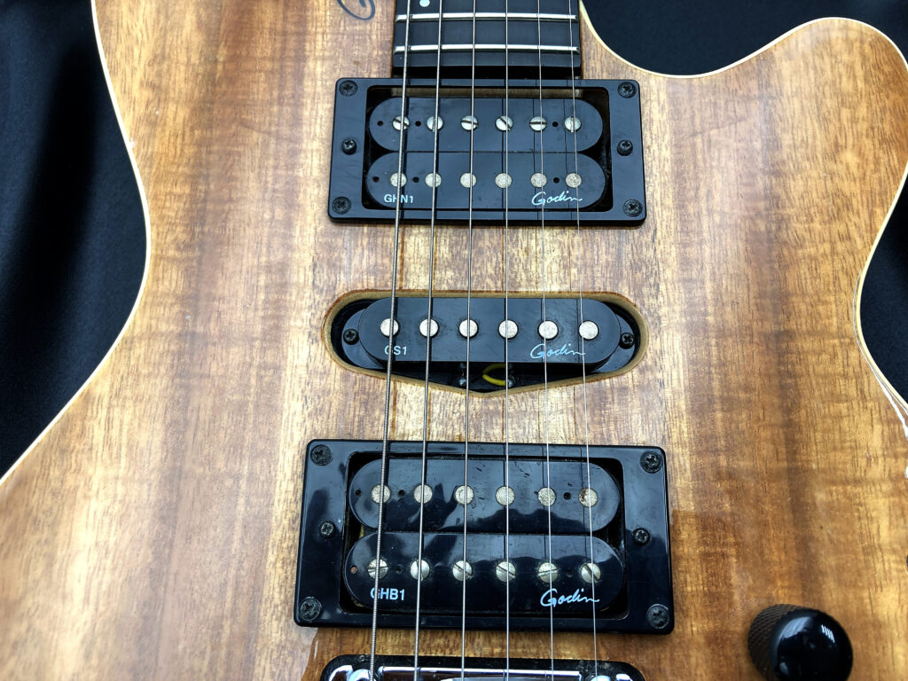 Godin ゴダン xtSA KOA マグネットピックアップ