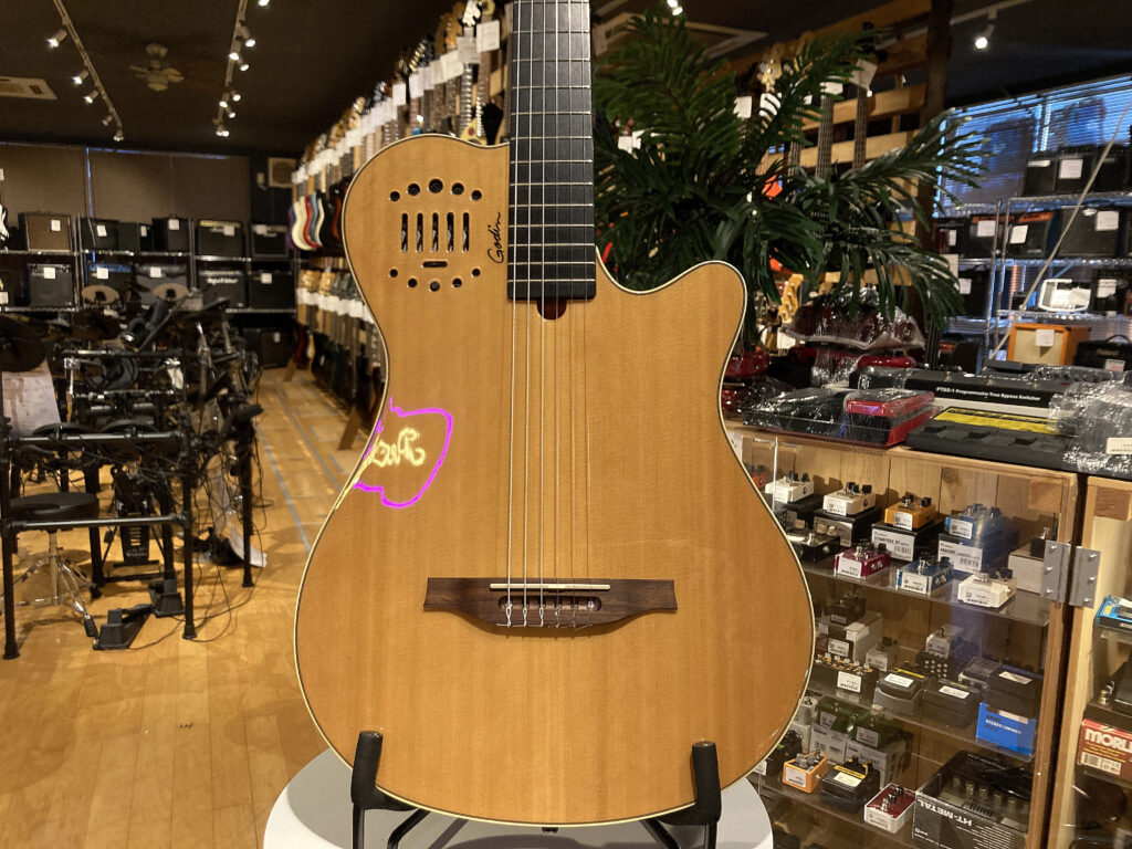 Godin Multiac Nylon Duet Ambiance