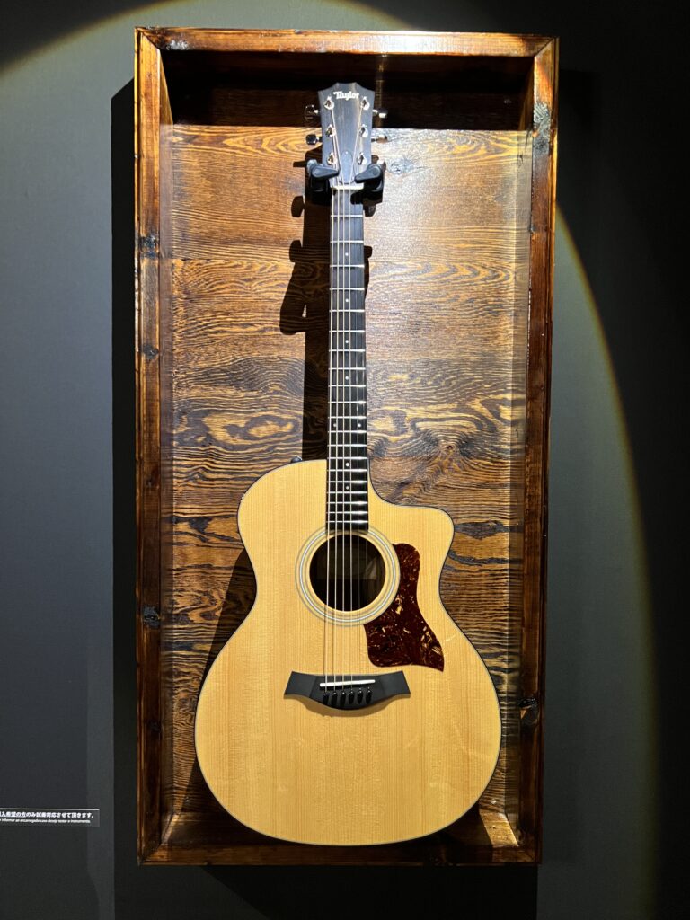 Taylor 214ce Plus アコースティックギター
