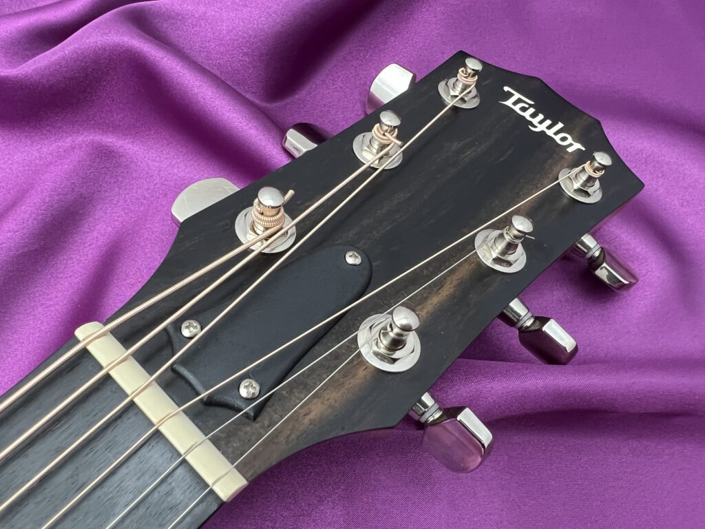 Taylor 214ce Plus アコースティックギター ヘッド