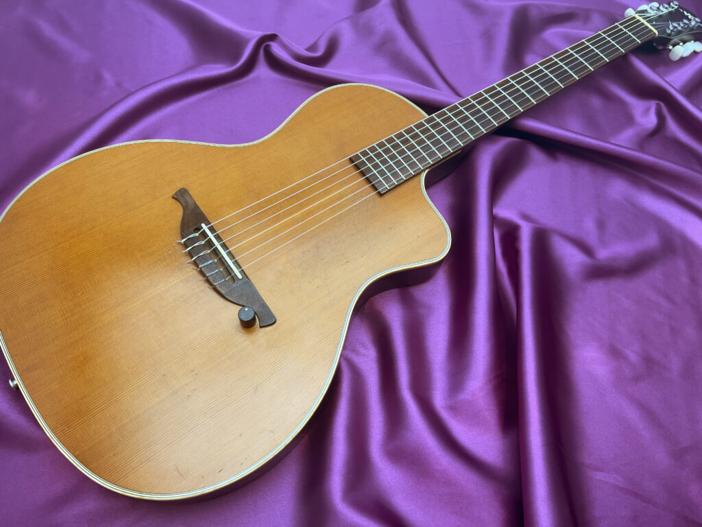 VG EAR-01NC エレガットギター