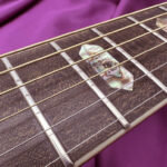 MORRIS W-100 Special アコースティックギター 指板