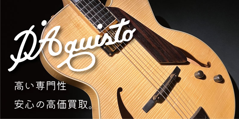 D'Aquisto(ダキスト)買取価格表【見積保証・査定20%UP】 | 楽器買取