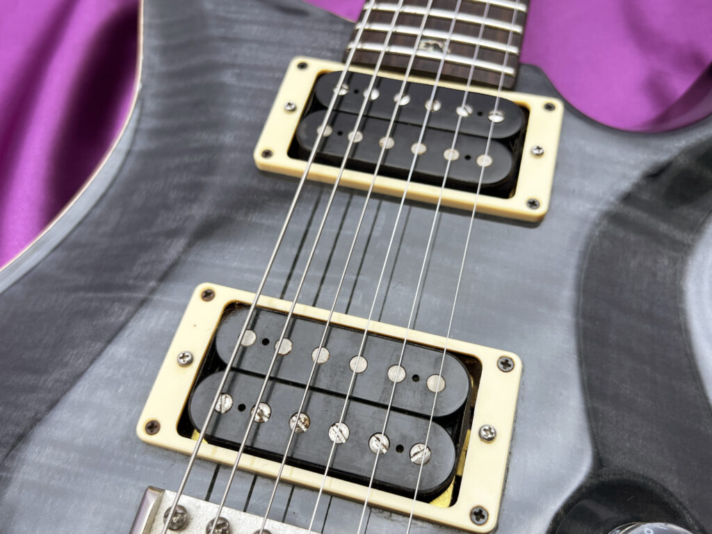 PRS Custom 24 Bird Gray Black ピックアップ