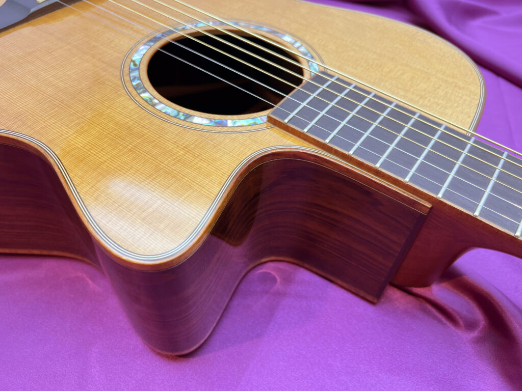 Morris S-209CE 2009年製 ボディカッタウェイ