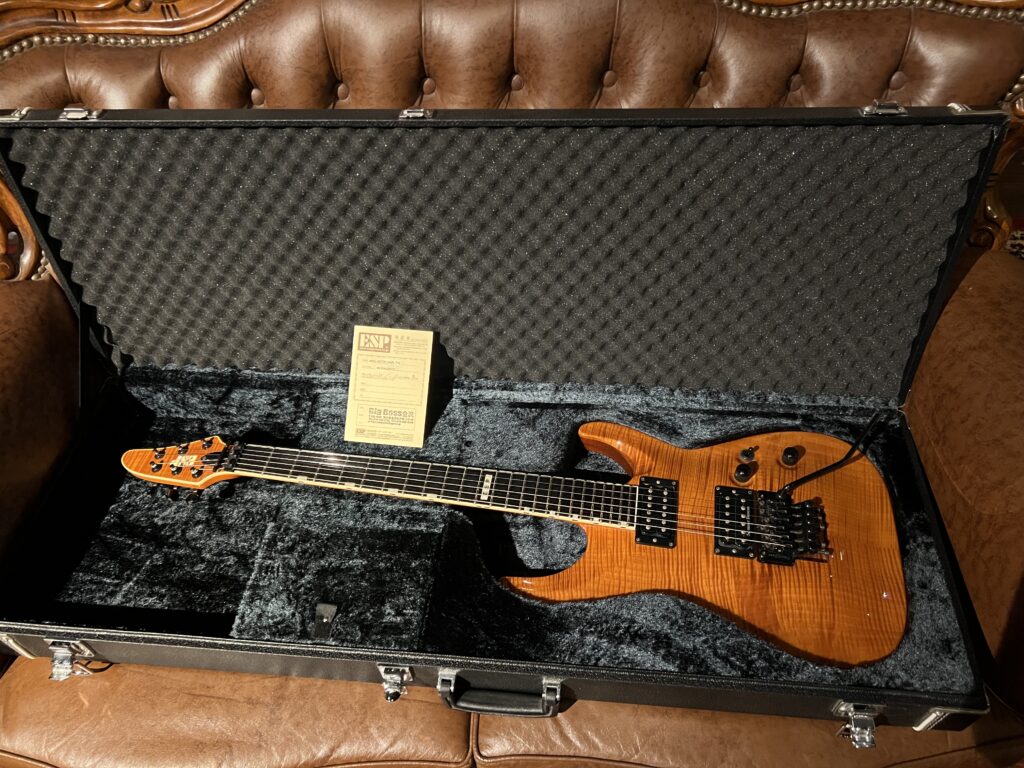 ESP HRZ-30TH AMB FM 30TH Anniversary