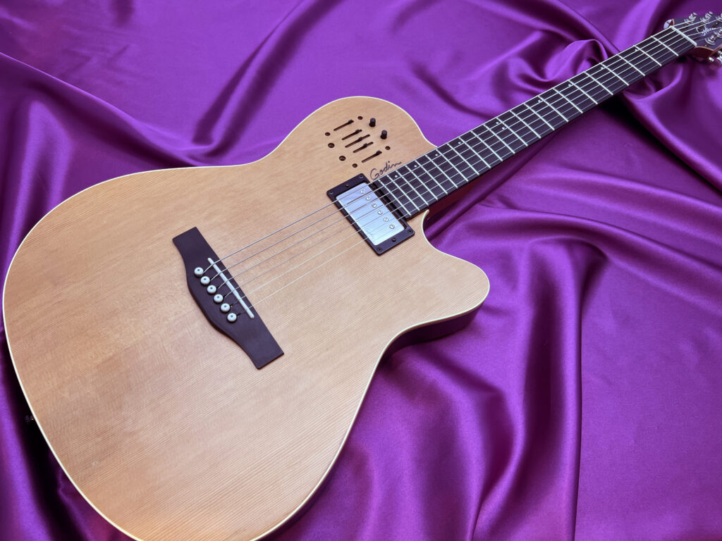 Godin A6 Ultra エレアコギター