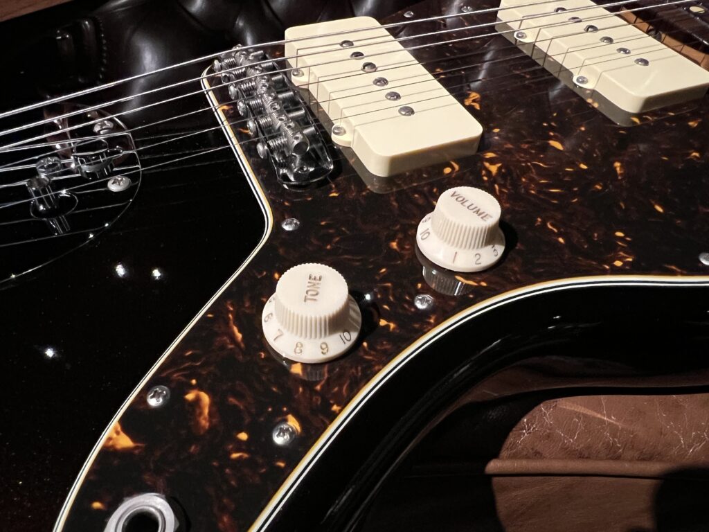 Freedom Custom Guitar Research FCGR-JM エレキギター コントロール