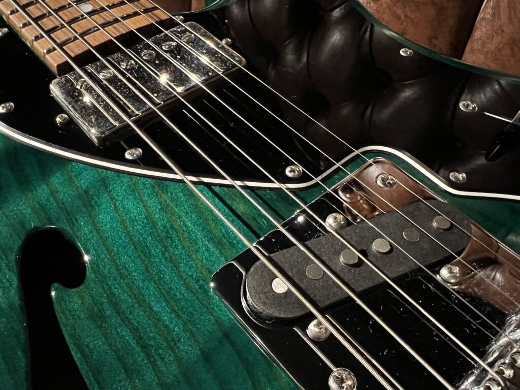 Freedom Custom Guitar Research Black Pepper エレキギター ピックアップ