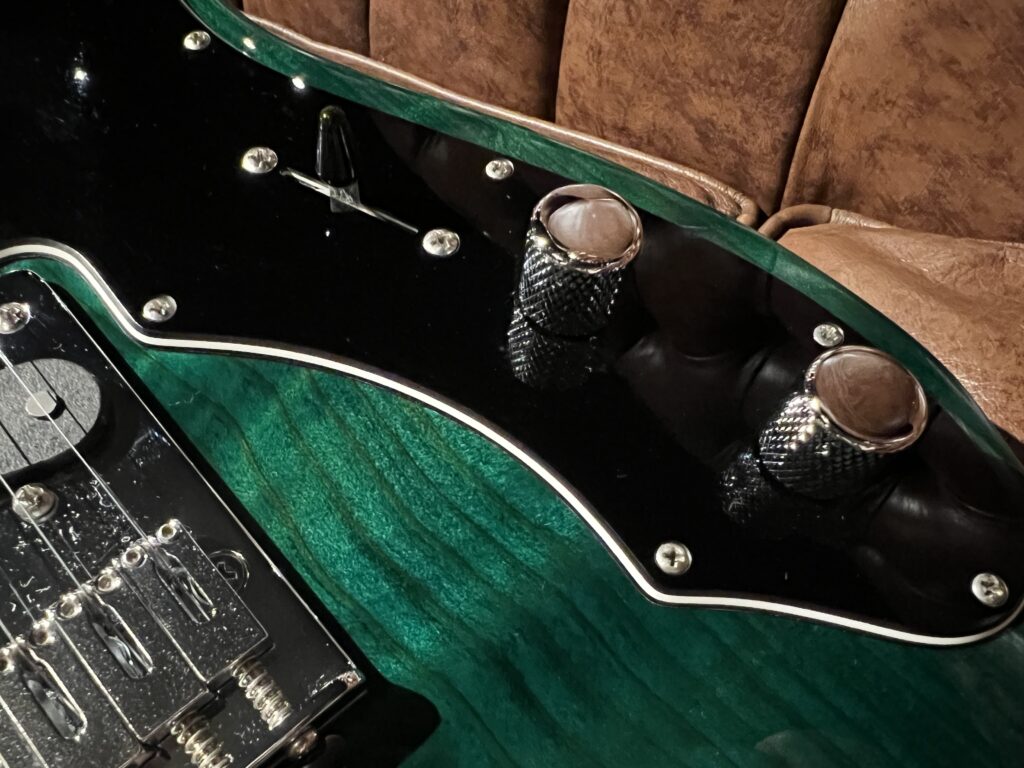 Freedom Custom Guitar Research Black Pepper エレキギター コントロール