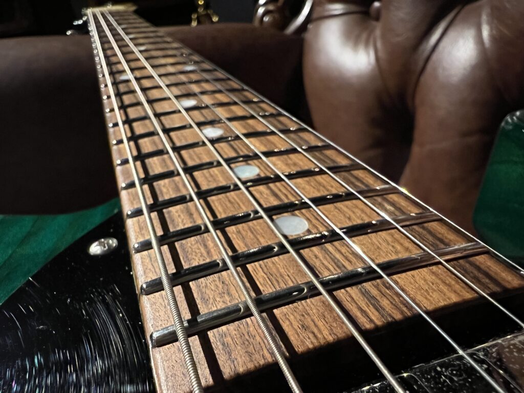 Freedom Custom Guitar Research Black Pepper エレキギター 指板