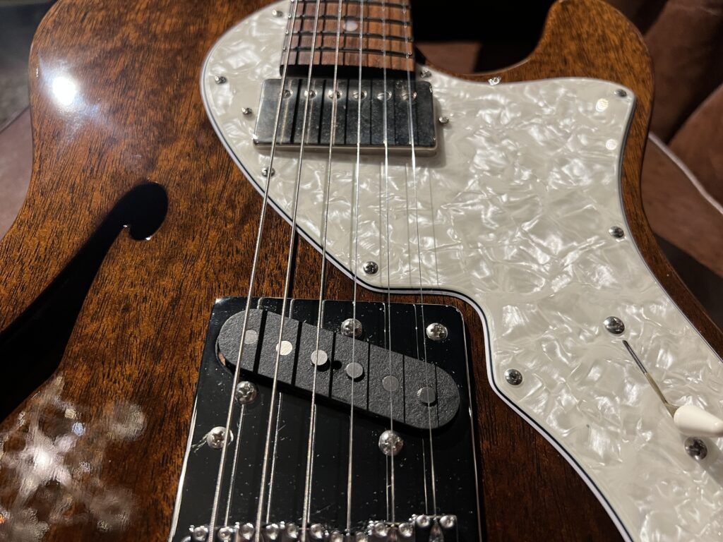 Freedom Custom Guitar Research Brown Pepper エレキギター ピックアップ