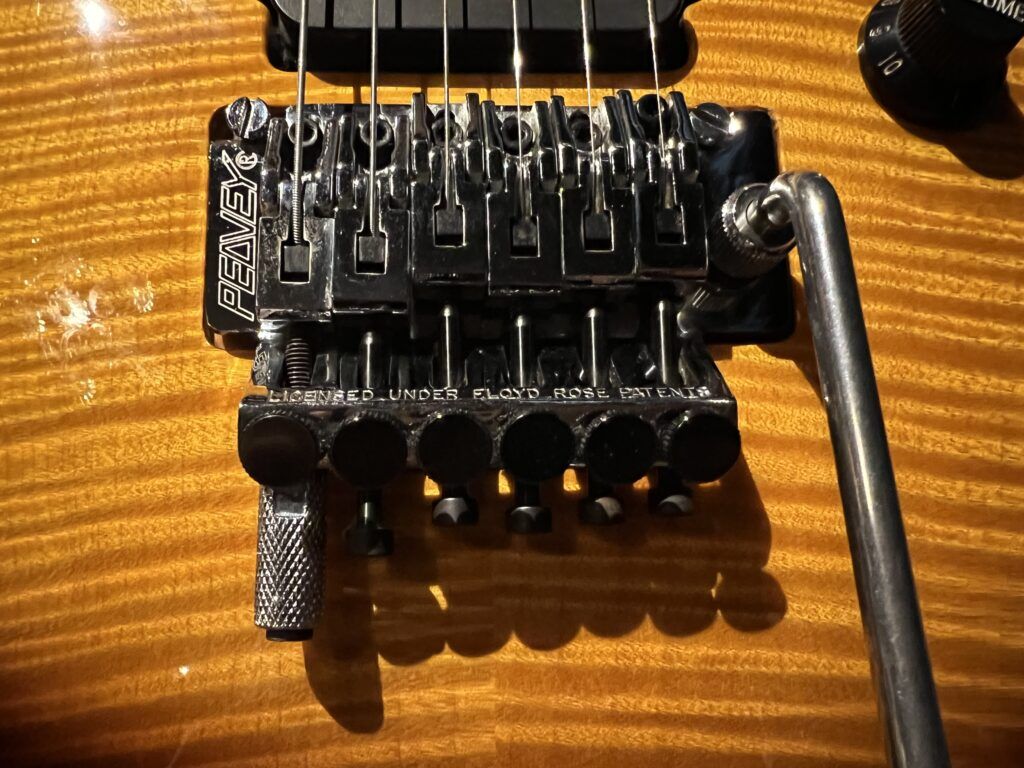 広島県広島市より、Peavey USA EVH Wolfgang Standard Tobacco