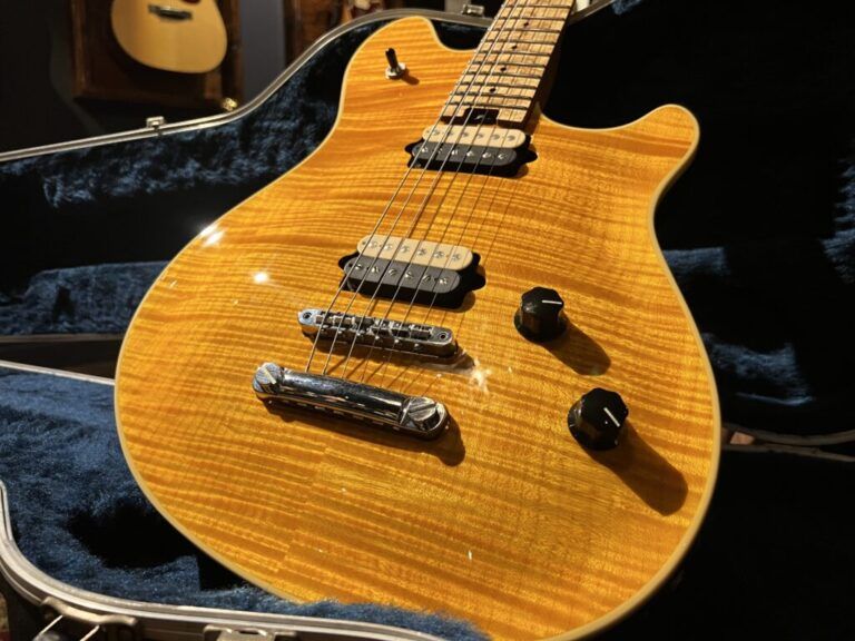 広島県広島市より、Peavey USA EVH Wolfgang Hardtail エレキギターを買取させて頂きました！