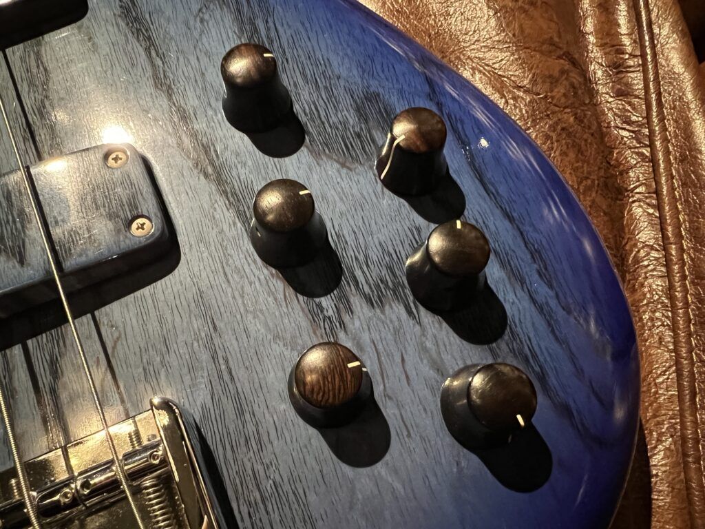 F-Bass BN5-EL エレキベース コントロール