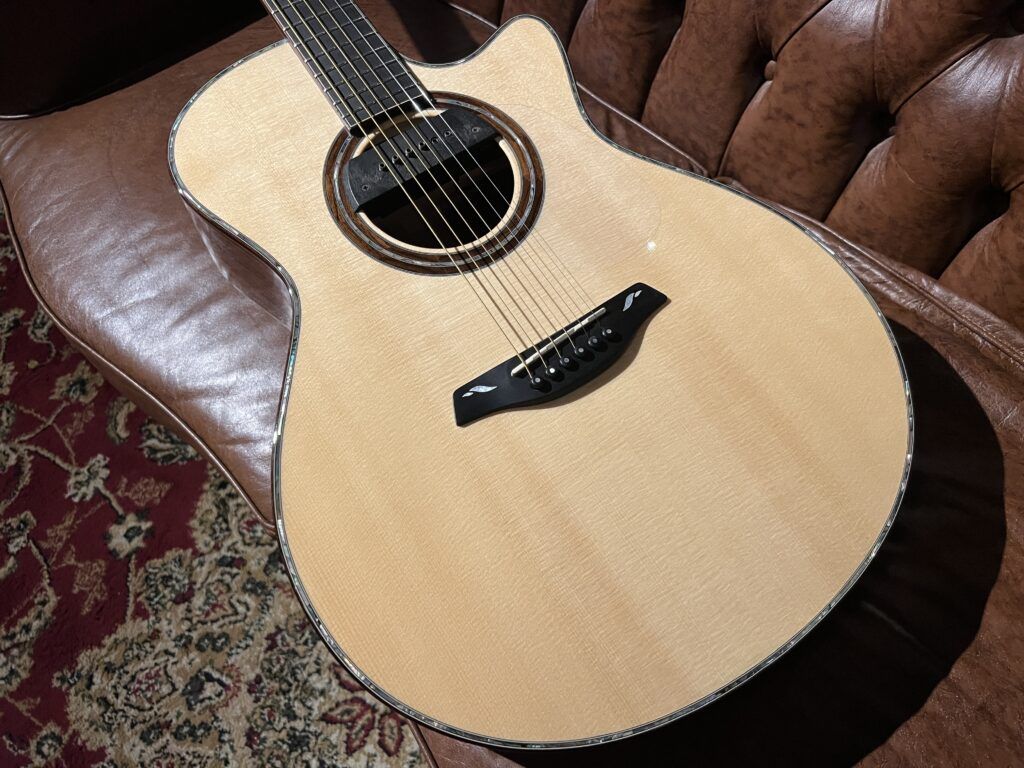 Furch Rainbow Gc-LC エレアコギター