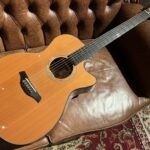 FURCH Yellow OMc-CR 全体