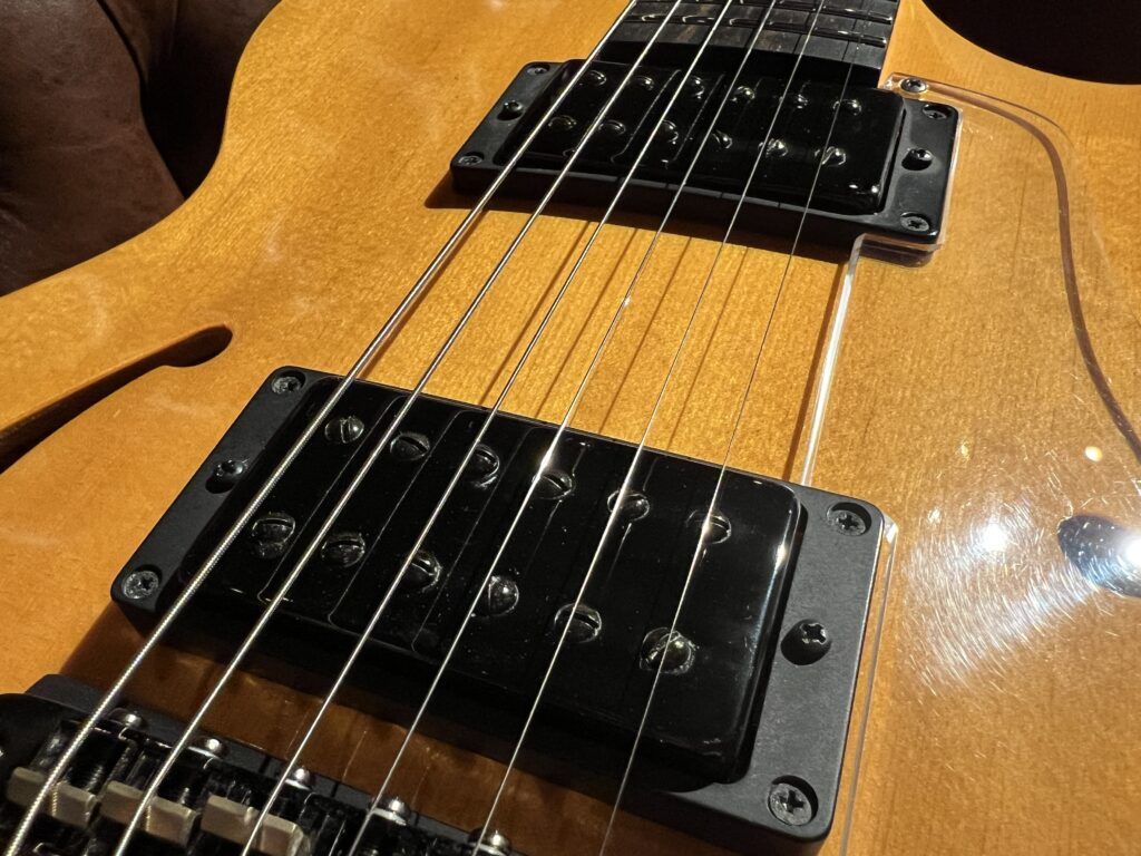 Westville Butter Semi-hollow セミアコギター ピックアップ