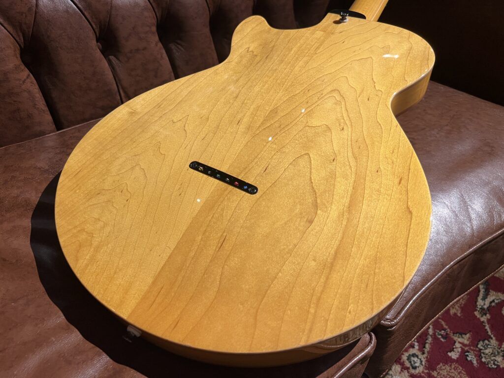Westville Butter Semi-hollow セミアコギター ボディバック